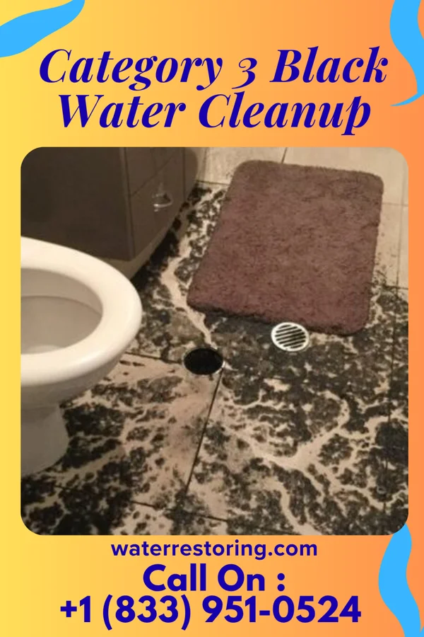 Category 3 Black Water Cleanup in Rankin, IL