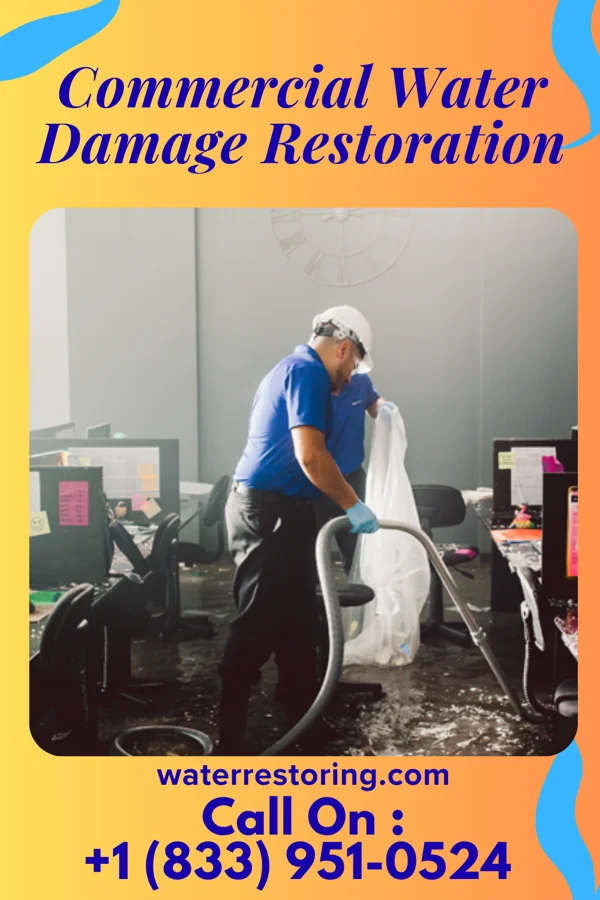 Commercial Water Damage Restoration in Rankin, IL