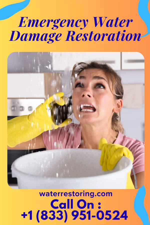 Emergency Water Damage Restoration in Rankin, IL