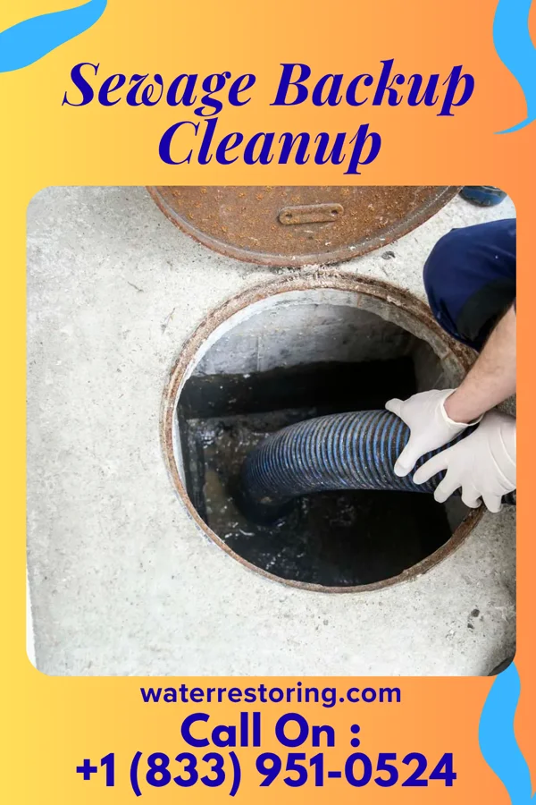 Sewage Backup Cleanup in Rankin, IL