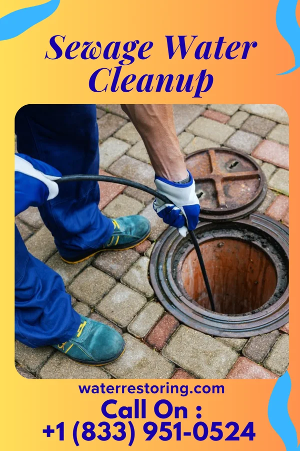 Sewage Water Cleanup in Rankin, IL