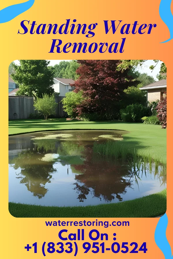 Standing Water Removal in Rankin, IL